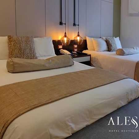 Alesia - Boutique Hotel & Spa Aguascalientes Eksteriør bilde