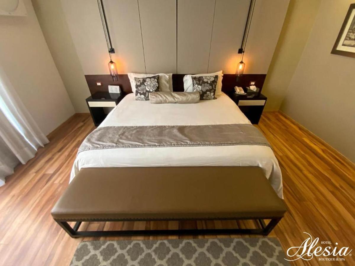 Alesia - Boutique Hotel & Spa Aguascalientes Eksteriør bilde