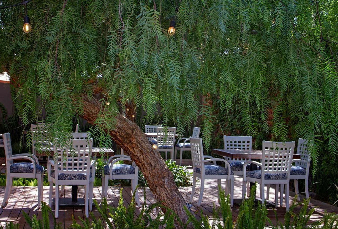 Alesia - Boutique Hotel & Spa Aguascalientes Eksteriør bilde