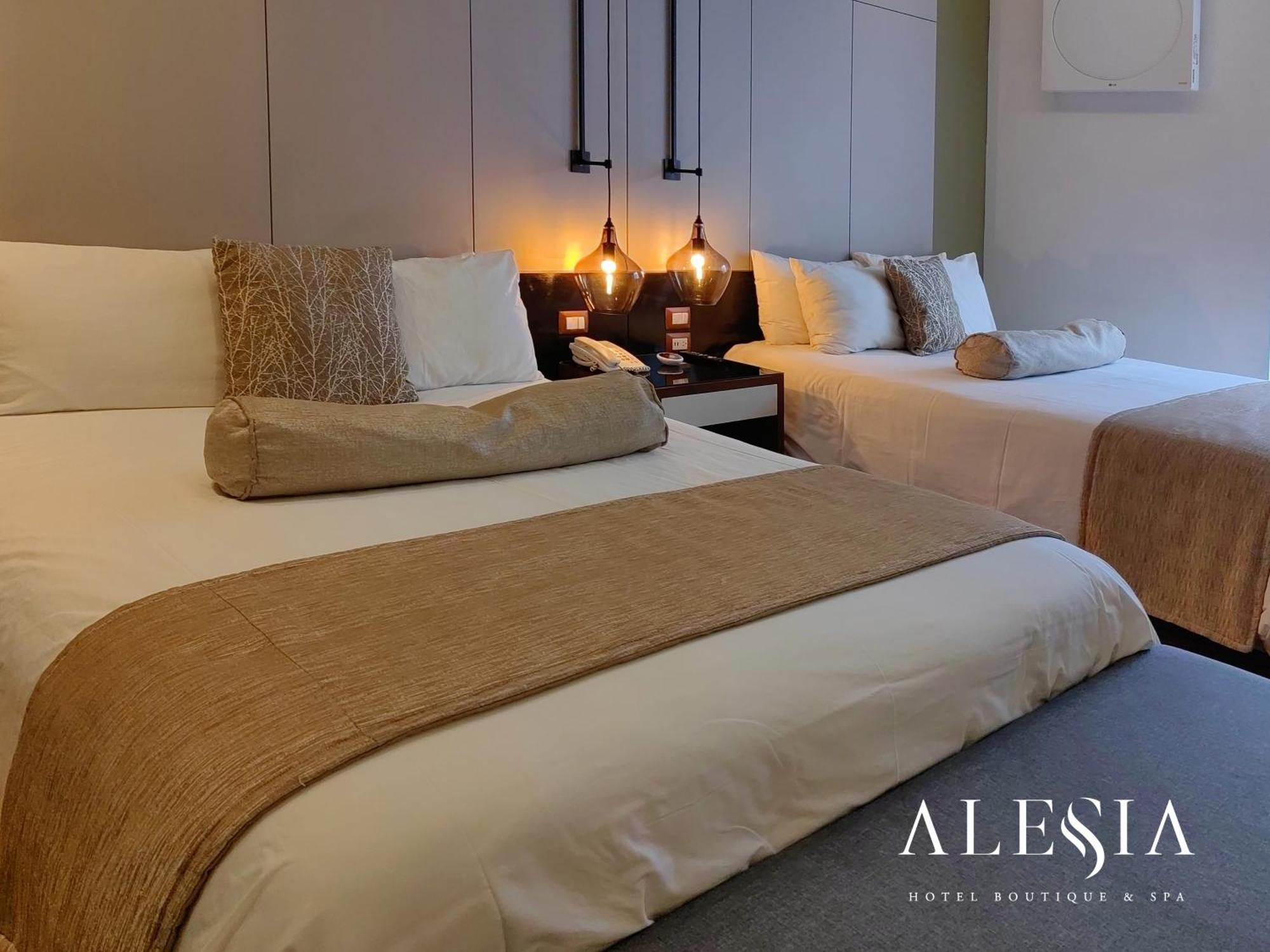 Alesia - Boutique Hotel & Spa Aguascalientes Eksteriør bilde
