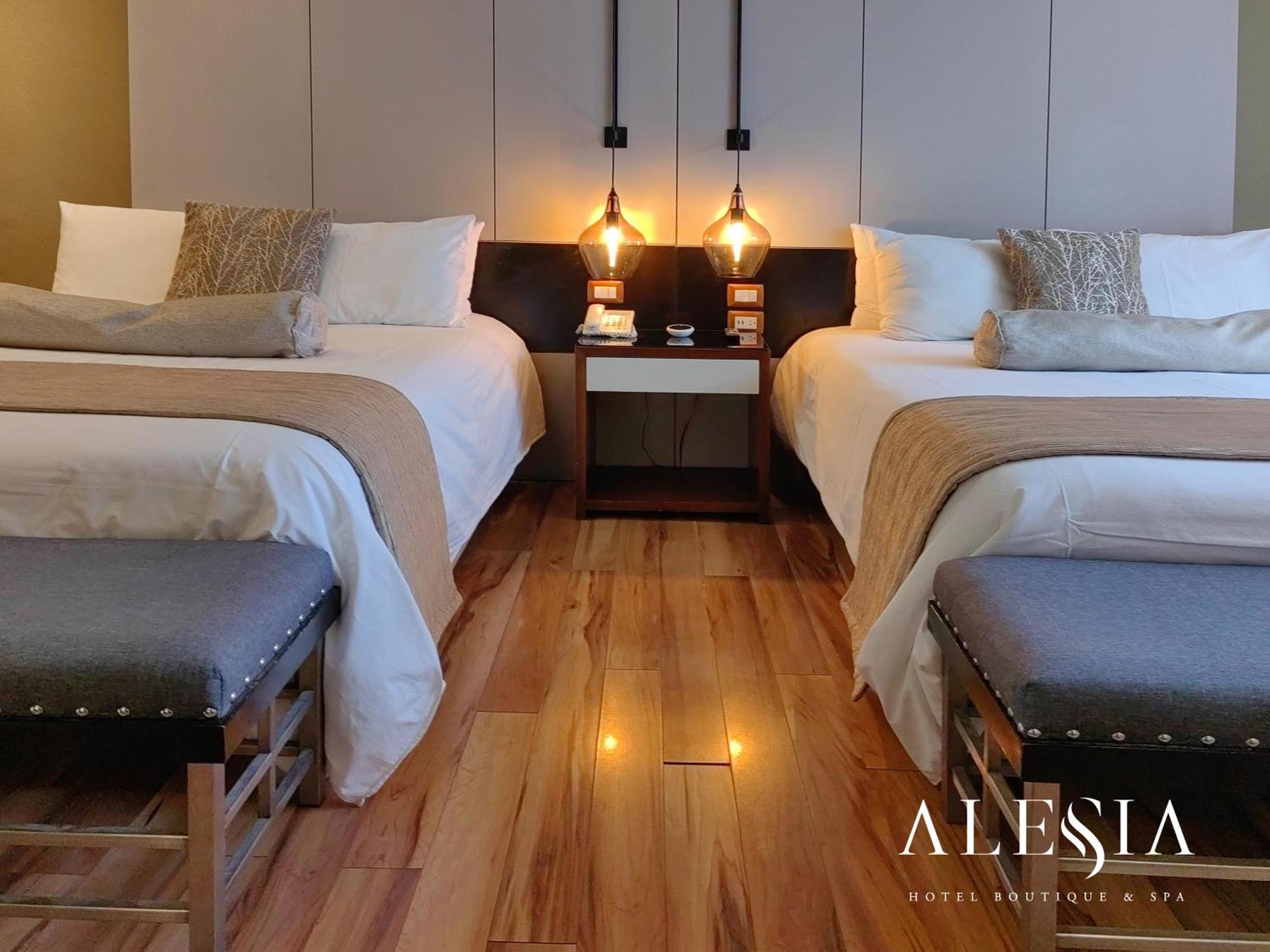Alesia - Boutique Hotel & Spa Aguascalientes Eksteriør bilde