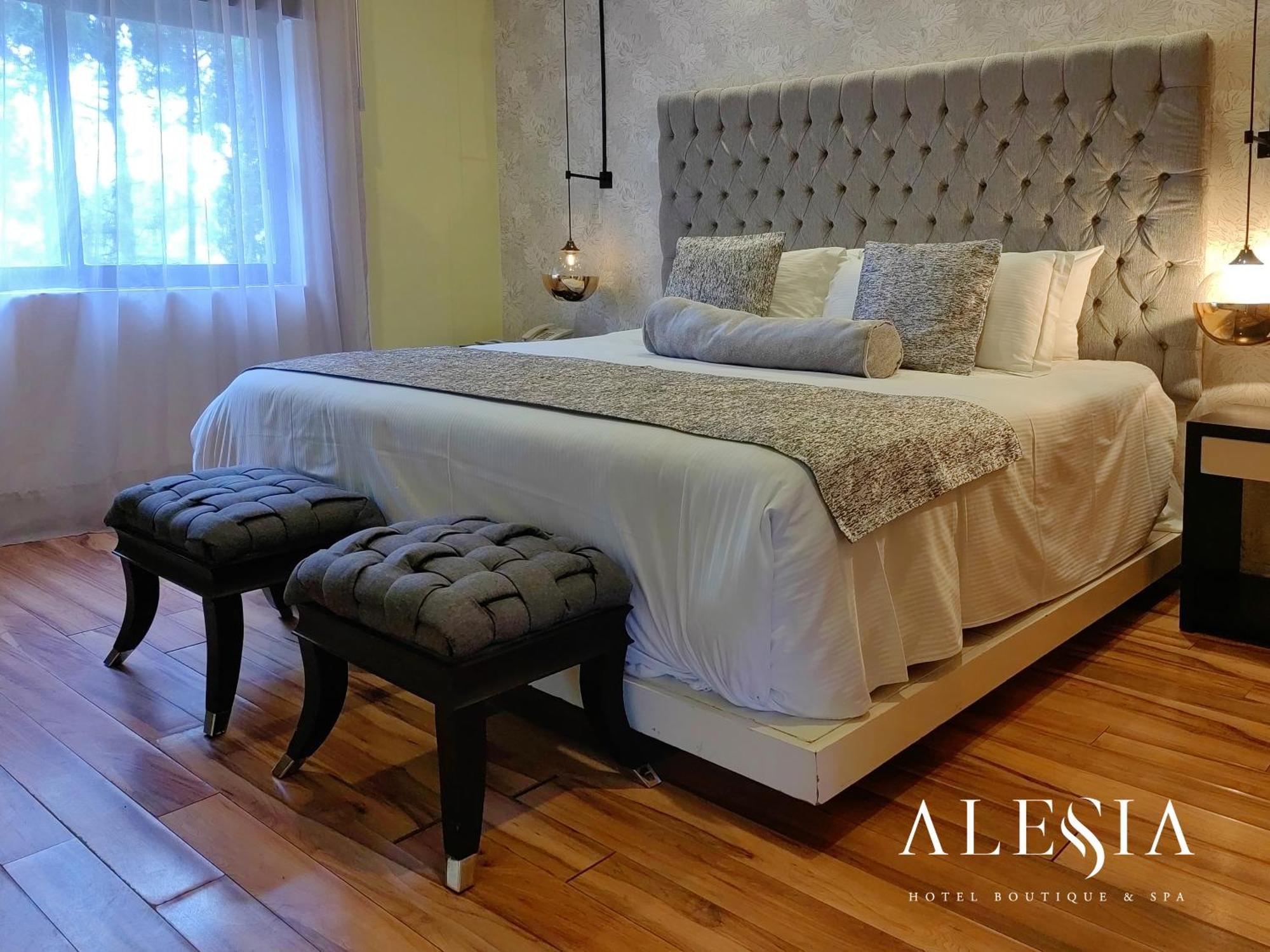 Alesia - Boutique Hotel & Spa Aguascalientes Eksteriør bilde