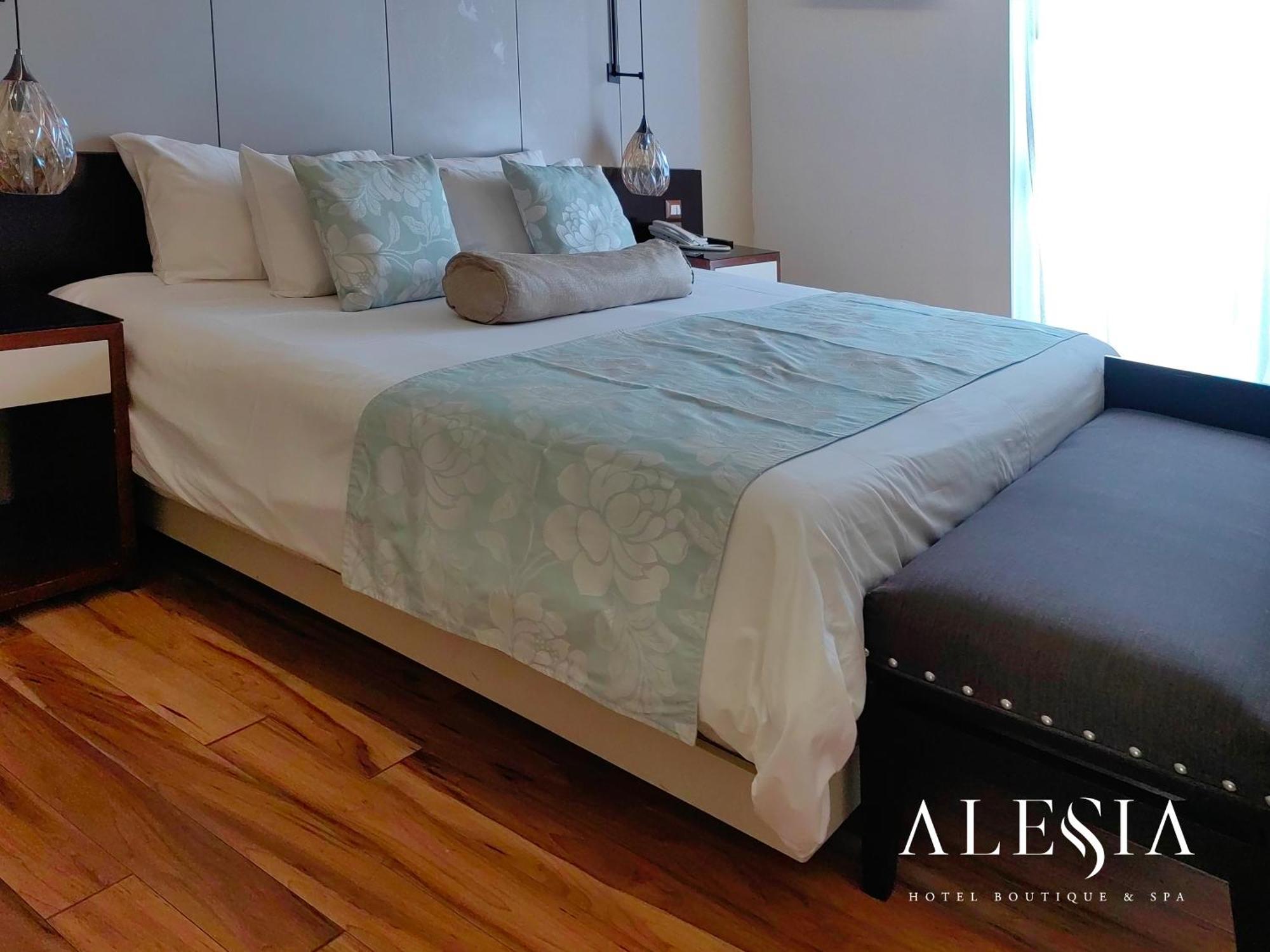 Alesia - Boutique Hotel & Spa Aguascalientes Eksteriør bilde
